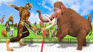 Death Run Who Will Win  Saber Tooth Tiger Vs Mammoth Elephant Dinosaur Animal Revolt Battle Simul [upl. by Dowd574]