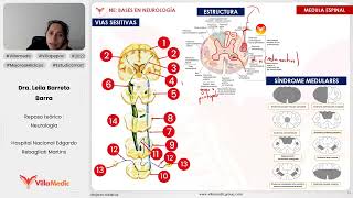 BASES EN NEUROLOGÍA PARTE 4  NEUROLOGÍA  VILLAMEDIC [upl. by Anattar138]