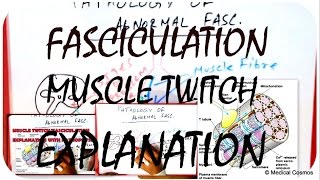 Muscle Twitch  Fasciculation Pathophysiology EXPLAINED [upl. by Gradeigh]