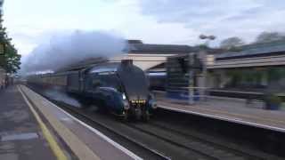 BITTERN NEED FOR SPEED  90mph STEAM TRAIN [upl. by Burkhard]