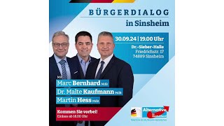 Bürgerdialog mit Bernhard Kaufmann und Hess am 30924 in Sinsheim [upl. by Ryun]