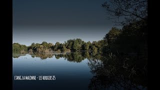 Etang la Malonne  Pêche de la carpe vendée HD [upl. by Absalom]