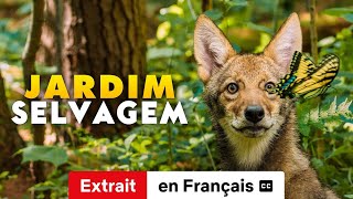 Les Connexions naturelles Extrait soustitré  BandeAnnonce en Français  Netflix [upl. by Eteragram]