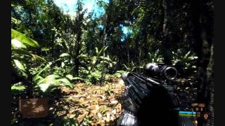 Crysis True Power Of The Radeon 5870 [upl. by Curkell]