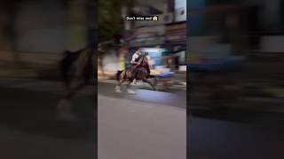 Kohinoor horse riding video 🐎 horseriding horsevideo shortsfeed browsefeatures trendingshorts [upl. by Peirsen]