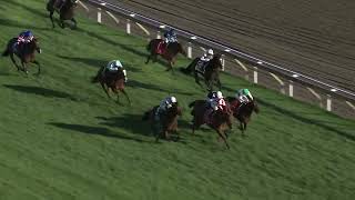 WOODBINE October 5 2024 RACE 8 Inquiry  Stretch [upl. by Nylrad]