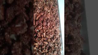 Caramelized pecansweet pecan youtubeshorts youtubetrending [upl. by Erbe]