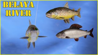 Belaya River 99 Russian Fishing 4 mjplay [upl. by Kciremed31]