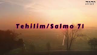 Tehilim  Salmo 71  En Ti oh Eterno me he refugiado [upl. by Akcirahs492]