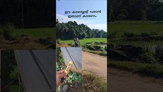 ഒടുവിൽ കംപ്ലൈന്റ്റ് കണ്ടുപിടിച്ചു kseb electricalwork house electrical [upl. by Cyprus]