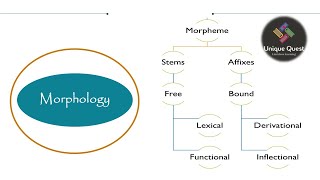 UQ Morphology Morpheme Allomorphs and Morphological descriptionPGTRB UNIT 9 in Tamil [upl. by Dorothi838]