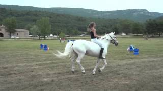 Mini CSO fête du cheval de Bargemon [upl. by Tellford]