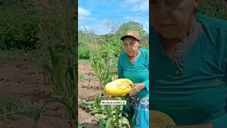 Sempre honre seu pai e sua mãe nunca desrespeite sua mãe sempre trate com carinho🌵 [upl. by Tiertza448]