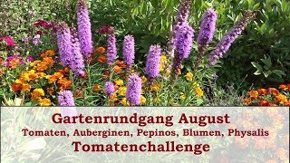 Gartenrundgang August Tomatensorten Auberginen Blumen Pepinos und Tomatenchallenge [upl. by Nassir928]