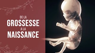 De la grossesse à la naissance dun miracle [upl. by Ilysa294]