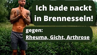 Rheuma Arthrose Gicht Nesselpeitschen hilft Erklärung und Anleitung [upl. by Yance30]