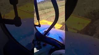 Cutting same triticale for silage [upl. by Goddard699]