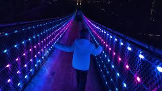 Canyon Lights at Capilano Suspension Bridge North Vancouver [upl. by Atikaj]