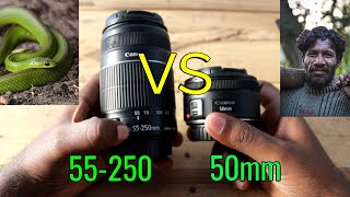 CANON 50MM VS 55250MM  CANON 50MM 18 STM  CANON 55250MM LENS REVIEW [upl. by Ettenor]