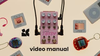 Lossy  Video manual [upl. by Adierf817]