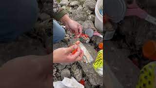 Tying a Tuna Ball for Columbia River Springer Salmon Fishing and Plunking [upl. by Yemaj]