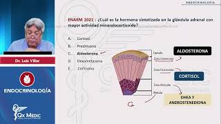 ENDOCRINOLOGÍA Banco Histórico 1 Qx Medic 2024 [upl. by Nerro]