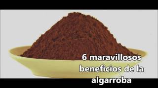 6 Maravillosos Beneficios de la Algarroba [upl. by Ydaf228]