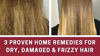 3 Proven Home Remedies for Dry Damaged amp Frizzy Hair​ [upl. by Sigfried999]