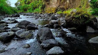 Beautiful River Sounds Mountain River Water Best Nature Sounds Relaxing Mountain Stream Nature [upl. by Mahla]