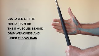 Second Layer of the Hand Part II The 5 Muscles Behind Grip Weakness and Inner Elbow Pain [upl. by Luthanen]