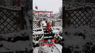 2024 funny worcestershire family public snow snowfall [upl. by Jehias]