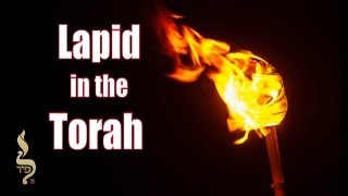 Lapid in the Torah  Lech Lecha  Aliyah 6 [upl. by Iahk]