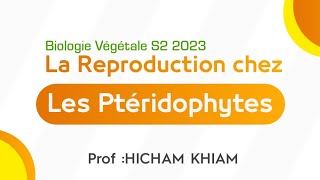 La Reproduction chez les cormophytes  les Pteridophytes  SVT S2 [upl. by Ahseiym]