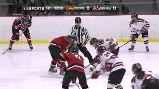 Girls High School Hockey  Centennial vs Maple Grove Section 5AA Final [upl. by Lutim52]