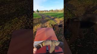 Oporowe zbieranie liści oporowo traktory viralsong shorts farming kosiarka mower viral lawn [upl. by Ennoid559]