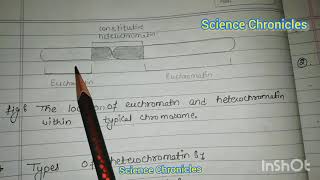 Euchromatin and heterochromatin hpu msc botany [upl. by Hacim]