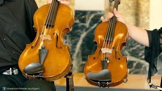 Staatsorchester Stuttgart  Musiker und ihre Instrumente  Violine und Viola [upl. by Winonah]