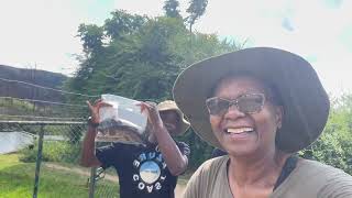 Welcome To The Trout Hatchery  Nyangombe Falls Troutbeck Nyanga  Living In Zimbabwe [upl. by Friedly]