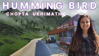 Chopta Ukhimath  A Beautiful Hill Station in Uttarakhand  Humming Bird Cafe for Best Food [upl. by Yknip]