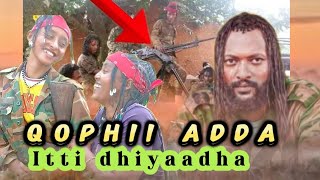 Qophii adda Waraana Adda bilisummaa Oromoo itti dhiyaadhaa💪💪💪💪 [upl. by Bittner228]