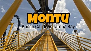 Montu  Busch Gardens Tampa Bay [upl. by Zetnwahs]