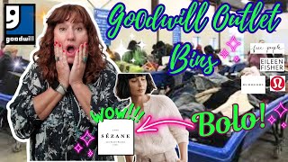 Finding Brands That Sell For Good   Huge GOODWILL OUTLET BINS Thrift HAUL TO RESELL on Ebay [upl. by Ahtnama]