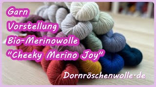 Garnvorstellung BioMerinowolle quotCheeky Merino Joyquot mit einem kleinen Gruß aus der Färbe Küche [upl. by Oel]