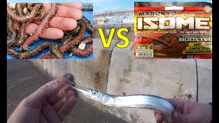 Needlefish fishing  Live Sandworm vs Marukyu Isome  Заргана на морски червей или изкуствен червей [upl. by Refinnaej]