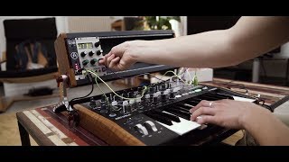 Arturia announces MiniBrute 2 EcoSystem MiniBrute 2 MiniBrute 2S RackBrute 3U6U [upl. by Sotos918]