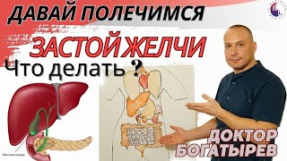 Застой желчи Что делать Признаки симптомы [upl. by Kerge]