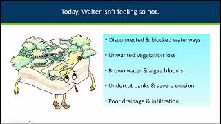 Floodplain and Watershed Higher Standards [upl. by Fredie845]