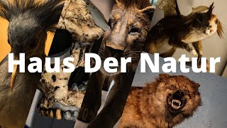 Haus Der Natur Salzburg 2022 [upl. by Ynatsed]