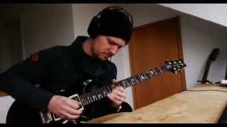 The quotnock nockquot Song with my PRS Custom 24 20th Anniversary [upl. by Latnahs]