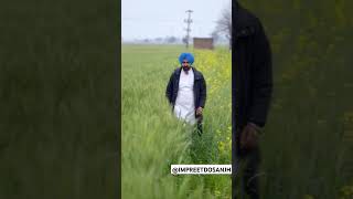 Toronto Song  Tronto Jang  Punjabi Song  New Punjabi Song 2024  shorts viralvideo trending [upl. by Hurlee]